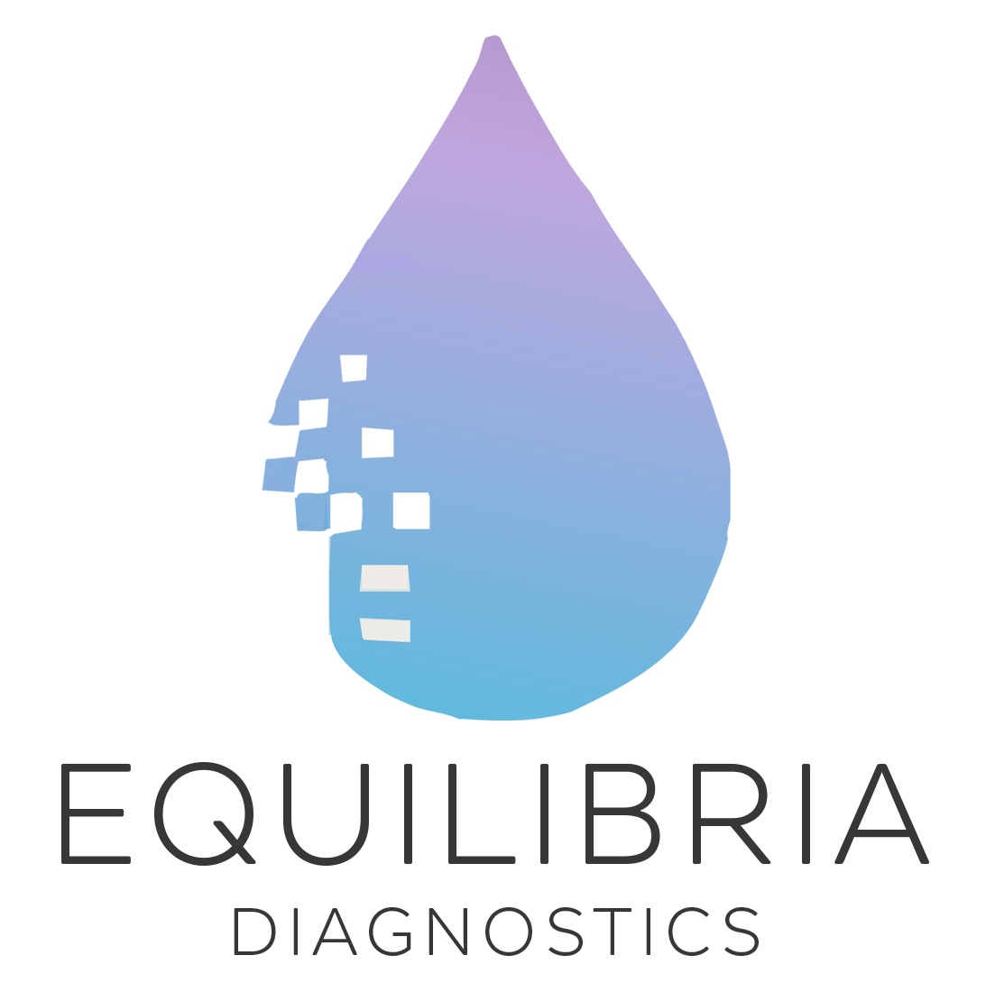Equilibria Logo
